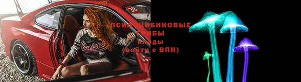 PSILOCYBIN Алексин