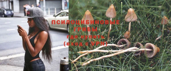 PSILOCYBIN Алексин